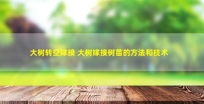 大树转空嫁接 大树嫁接树苗的方法和技术